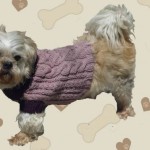 modele crochet manteau pour chien